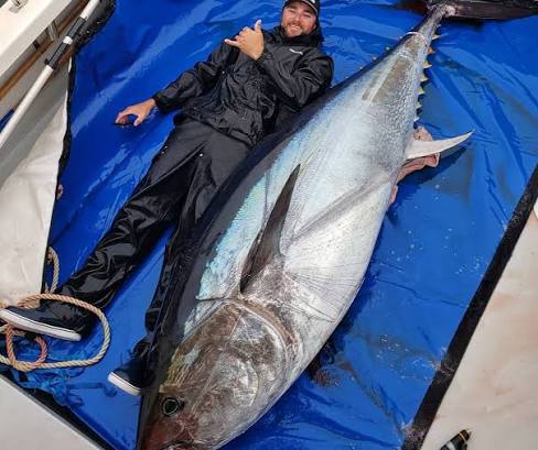 Large tuna catch during a full-day deep-sea fishing trip in Corfu